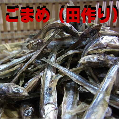 楽天市場】徳島県産 えだまめ 約200g （袋） : 生鮮食品直送便