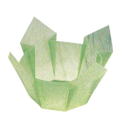両面 OP珍味入 大(100枚入) 66403 若草雲竜/業務用/新品/小物送料対象商品