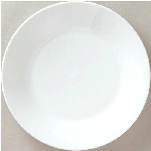 水明 27cm皿 10枚入/業務用/新品/小物送料対象商品 7,508円