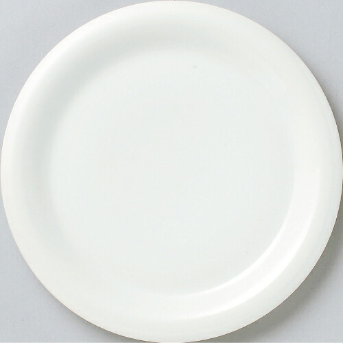 大皿 ホワイトハット 10吋大皿 10枚入洋食器/業務用/新品/小物送料対象商品