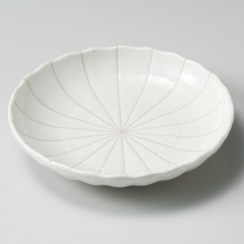 粉引十草菊型5.0皿 φ16.3×3.5cm 230-388 (10個入) 226-359/業務用/新品/小物送料対象商品