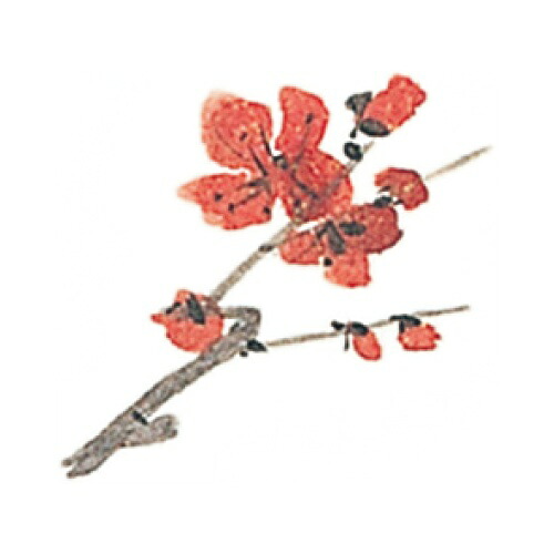 耐油懐敷 12角 梅(1000枚入)/業務用/新品/小物送料対象商品