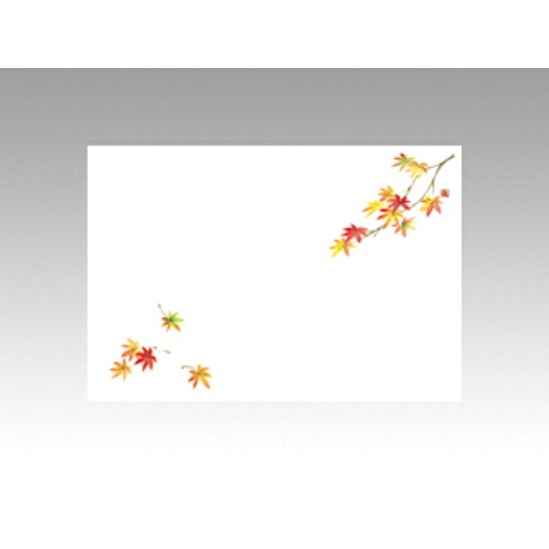 【10袋セット】テーブルマットNo.9224 紅葉 1袋(100枚入)/業務用/新品/小物送料対象商品 12,994円