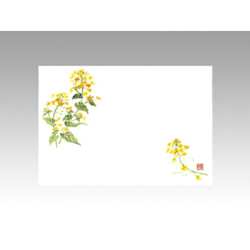 【10袋セット】テーブルマットNo.266 菜の花 1袋(100枚入)/業務用/新品/小物送料対象商品｜業務用厨房のテンポス