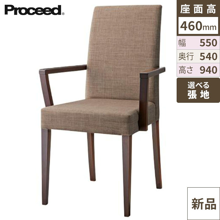 業務用椅子【プロシード】リーブルアームイスA-BR 11539-A 幅550×奥行540×高さ940 シート高460(mm)/業務用/新品/送料無料