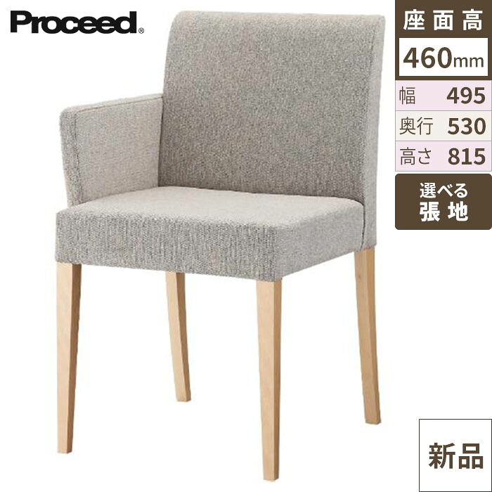 業務用椅子【プロシード】リーブル右アームイス2B-NA 11565-A 幅495×奥行530×高さ815 シート高460(mm)/業務用/新品/送料無料
