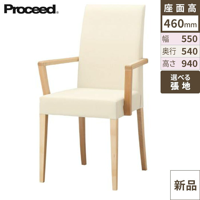 業務用椅子【プロシード】リーブルアームイスA-NA 11537-A 幅550&times;奥行540&times;高さ940 シート高460(mm)/業務用/新品/送料無料｜業務用厨房のテンポス