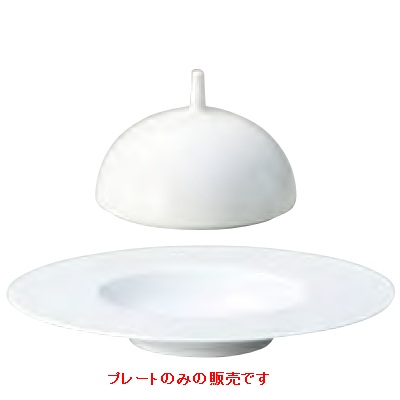 一皿 食い道楽一皿 29糎_エコス CostaVerde (12個入) /寄りあいお皿/御役目用/新品