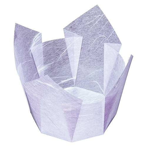両面OP繊細さ入 藤雲竜 大 100枚/お役目用/新品/小物貨物輸送客体商いもの