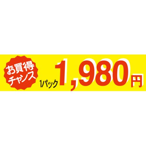 SLラベル お買い得チャンス1パックラベル1980円/500枚×10冊入/業務用/新品/小物送料対象商品