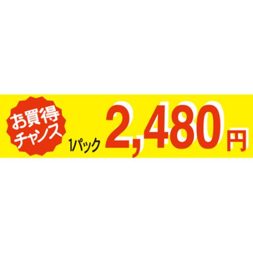 SLラベル お買い得チャンス1パックラベル2480円/500枚&times;10冊入/業務用/新品/小物送料対象商品｜業務用厨房のテンポス 8,905円