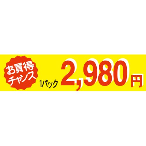 SLラベル お買い得チャンス1パックラベル2980円/500枚&times;10冊入/業務用/新品/小物送料対象商品｜業務用厨房のテンポス