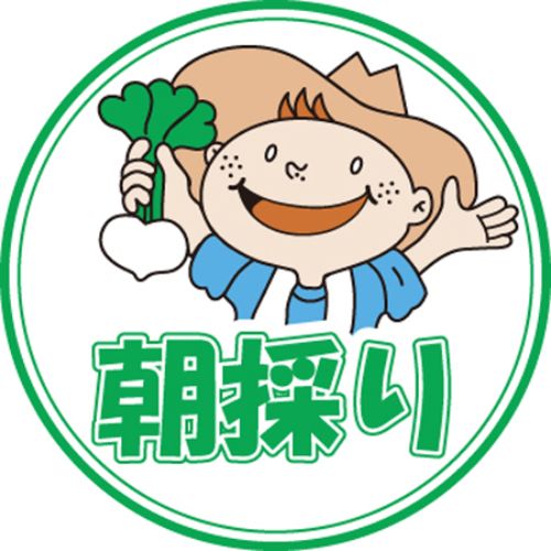SL付け札 朝採り/1000枚×10冊入/御役目用/新品/貨物輸送無料