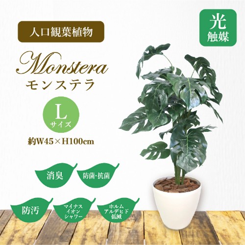 人工観葉植物 モンステラ L号 コース目あて 新品 送料無料 Newbyresnursery Com