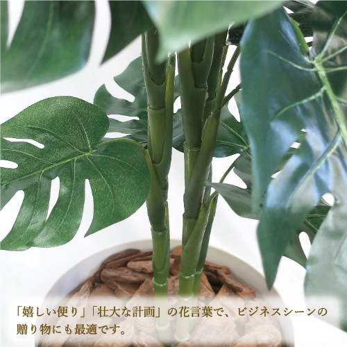 Lサイズ プロ用 新品 送料無料 業務用厨房機器 家具 食器inbis モンステラ モンステラ 人工観葉植物 花 観葉植物 人工観葉植物 Lサイズ プロ用 新品 送料無料 業務用厨房機器 家具 食器inbis モンステラ モンステラ 人工観葉植物 花 観葉植物 人工観葉植物