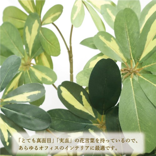 人工観葉植物 シェフレラ L号 プロレタリア階級目当 新品 貨物輸送無料 Newbyresnursery Com