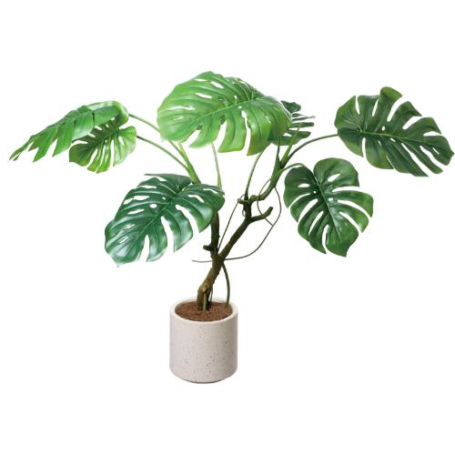 GLA-1582 モンステラポット/全長110cm 幅130cm 鉢φ22cm&times;H28cm/業務用/新品/送料別途見積｜業務用厨房のテンポス