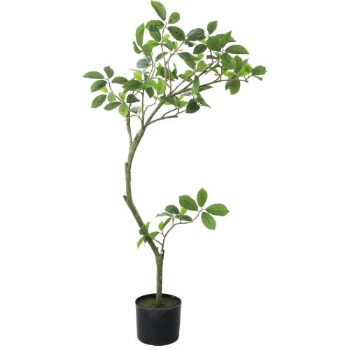 GLP-1574 110cmガジュマル/全長110cm 幅60cm 鉢φ15cm×H12.5cm/業務用/新品/送料別途見積