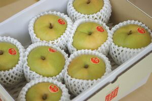 新甘泉（しんかんせん）通信販売 鳥取のブランド和梨を販売取寄。 中箱　約7玉～約9玉 鳥取産
