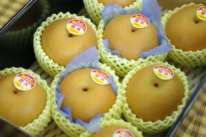 新潟県 豊水梨の通販 糖度13度以上。一糖賞・糖鮮確実・梨の実館 中箱 約7玉～約9玉