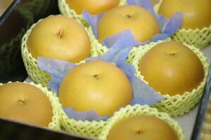 秋月梨（あきづき梨）通信販売　和梨を販売取寄。中箱 約5玉～約8玉 千葉・他産地