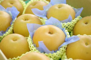 秋月梨（あきづき梨）取寄販売　和梨を通販で。約5ｋｇ 約8玉～約14玉 千葉・他産地