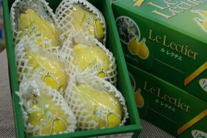 お歳暮ルレクチェ通販 新潟県特産の西洋梨レクチェを販売取寄。約2ｋｇ 約5玉～約7玉