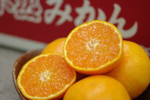 紀南の木熟みかん 天(てん) 和歌山県産をお歳暮みかんに。糖度12度以上 2.5ｋｇ Ｓ～Ｌ