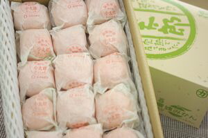 糖度１３度以上！天皇杯受賞の樹上完熟袋がけ味ピカ小太郎Sサイズ 30玉✖️2個 糖度13度以上！天皇杯受賞の樹上完熟袋がけ！味ピカみかん小太郎S