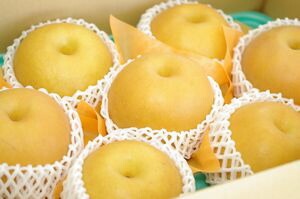 にっこり梨通信販売 栃木オリジナルの大玉系和梨を販売取寄。約5kg 約5玉～約10玉 栃木産