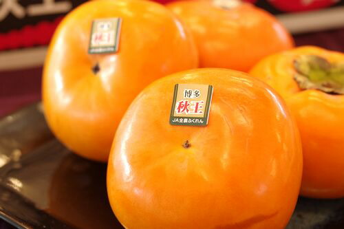 秋王柿(あきおうがき)販売 福岡県産の甘柿で種がない新品種 約4玉～約5玉