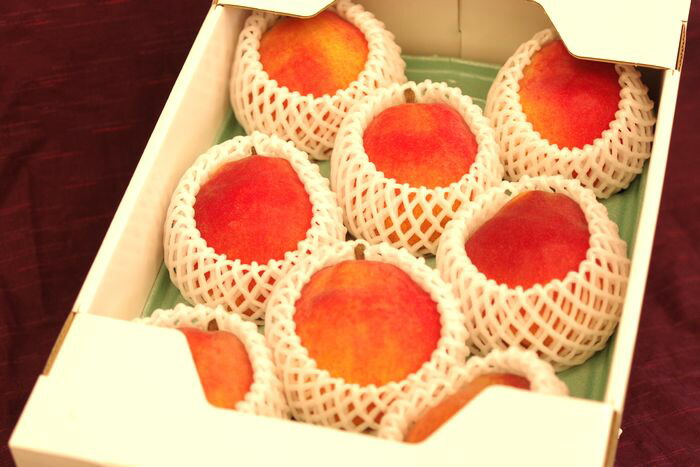 西洋梨カリフォルニア通信販売 赤く色づく珍しい洋梨を取寄。中箱 約7玉～約9玉