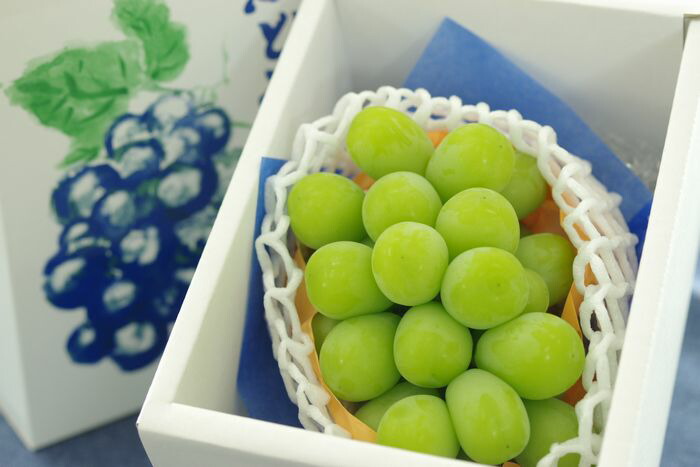 楽天市場 お歳暮シャインマスカットぶどう通販 12月の冬ギフトに貯蔵国産葡萄販売 長野 他産地 1房 約500ｇ 果物百貨店 浜中屋