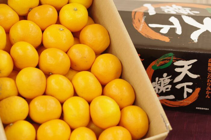 天下糖一みかん てんかとういつ蜜柑ＪＡとぴあ浜松  静岡県 糖度12度以上 5kg