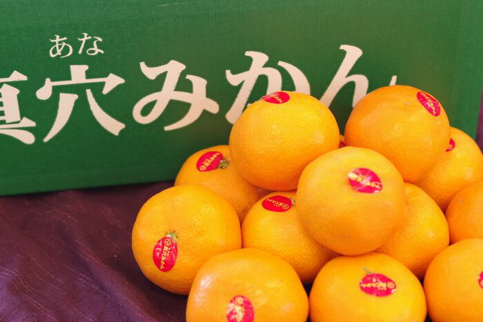 楽天市場 真穴みかん通販 お歳暮みかん 愛媛県真穴共選 5kg S ｌ 果物百貨店 浜中屋