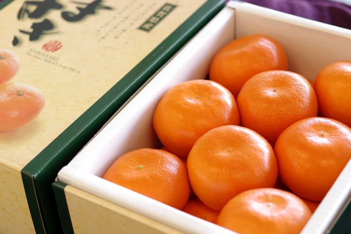 楽天市場 柑橘はまさき通信販売 佐賀オリジナルの麗紅柑を販売取寄 約8玉 約15玉 佐賀県産 果物百貨店 浜中屋