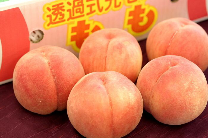 福島桃最上等級【天】販売 糖度約13.5度のももを通販で取寄。小箱 約5玉～約6玉