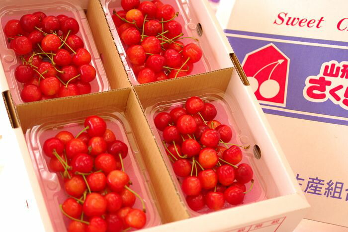 お中元紅秀峰さくらんぼ販売　200g×4Ｐ L～2Ｌ 山形さくらんぼ通販ギフトは7月上旬