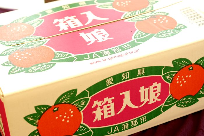 楽天市場 箱入娘みかん販売 愛知県蒲郡産 お歳暮みかん通販でお取り寄せ 糖度12度以上 5ｋｇ 2ｓ ｌ 果物百貨店 浜中屋