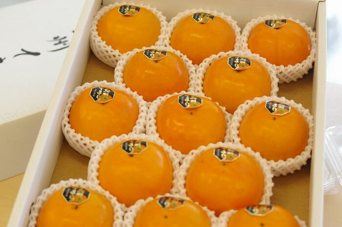 紀州てまり柿 約3.5ｋｇ 約10玉～約14玉 和歌山県