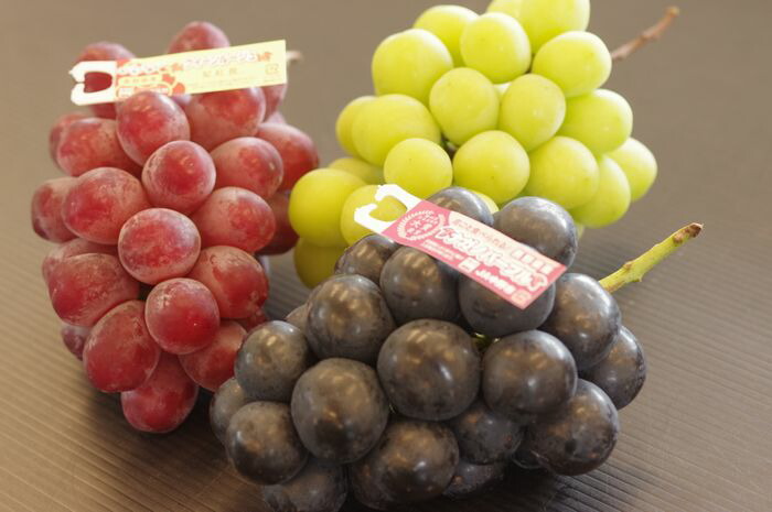 クイーンルージュ 約500g＆ナガノパープル 1房 約500g＆シャインマスカット 1房 約500g 皮ごと種なし葡萄セット　長野県ぶどう三銃士画像