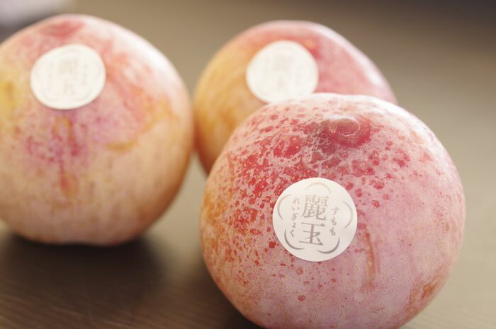 麗玉れいぎょく 長野県 すもも李  糖度18度 品種シナノパール  1玉200g以上　3玉入