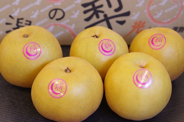 新美月梨　(しんみつきなし) 新潟県産 販売　中箱 約6玉～約9玉