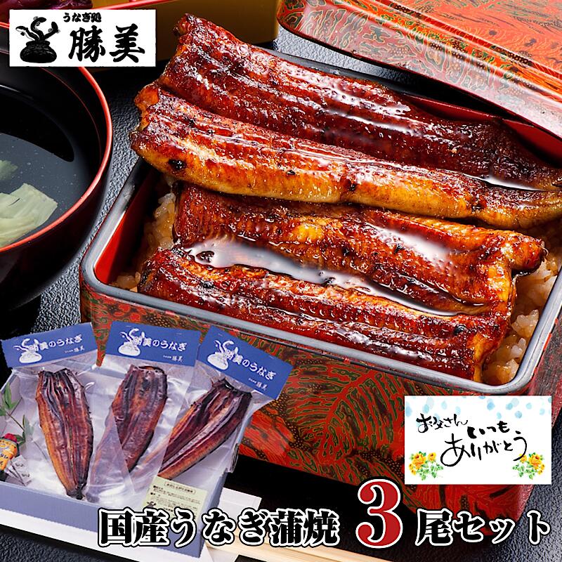 【父の日 早割 ポイント5倍】うなぎ 国産 蒲焼 170g-180g×3尾セット (タレ・山椒付)  送料無料 母の日 プレゼント ギフト 誕生日 お中元 内祝 贈り物 特大 勝美 ウナギ 鰻 unagi 国産うなぎ 国産ウナギ うなぎ蒲焼き うなぎの蒲焼 鰻蒲焼 ウナギ蒲焼 特大うなぎ 食品