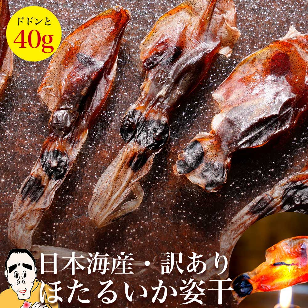 【楽天市場】【 浜浦水産】ほたるいか姿干 40g ホタルイカ素干 【 姿干 】 訳あり ほたるいか 素干し お取り寄せ グルメ 春 干物 おつまみ 肴 日本海産 蛍烏賊 ほたるいか 富山 肝入り 無添加 北陸直送 お歳暮 母の日 父の日 プレゼント 食べ物 入学：浜浦水産んまいちゃ便楽天市場店