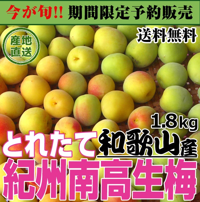 楽天市場 生梅 紀州南高梅 1 8kg 産地直送とれたて紀州南高生梅 和歌山県産 うめ ウメ 梅 梅干し はみだしショップ