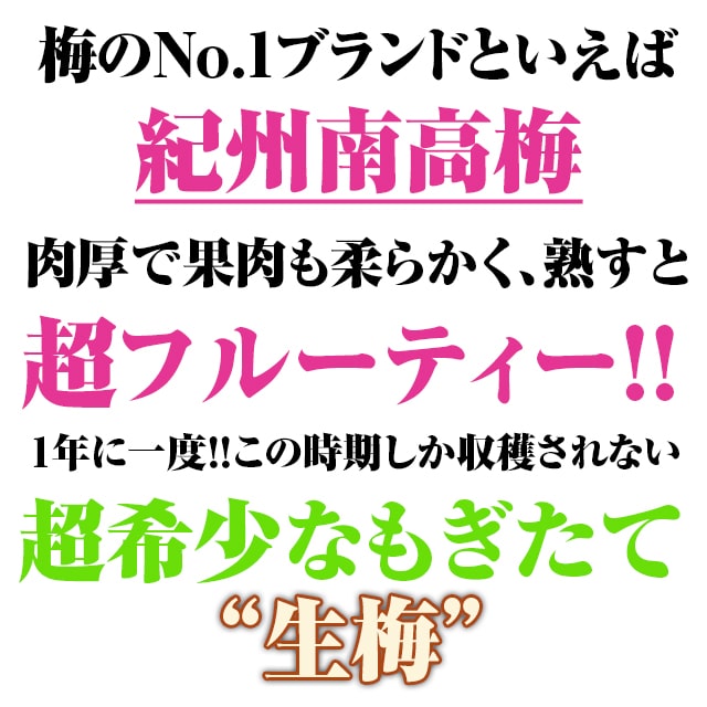 楽天市場 生梅 紀州南高梅 1 8kg 産地直送とれたて紀州南高生梅 和歌山県産 うめ ウメ 梅 梅干し はみだしショップ