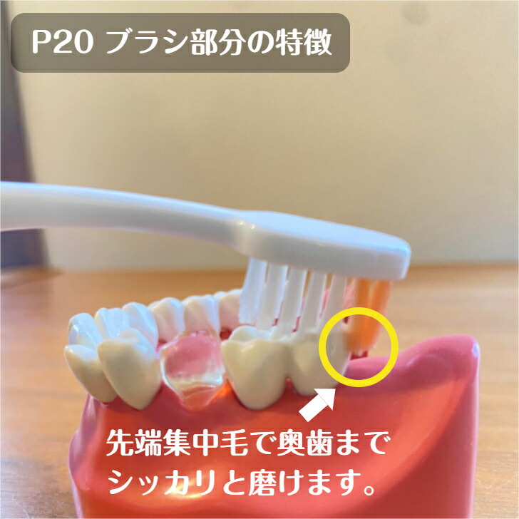 送料無料！】ルシェロ P-20 M S ピセラ 歯ブラシ 10本 ふつう やわらか