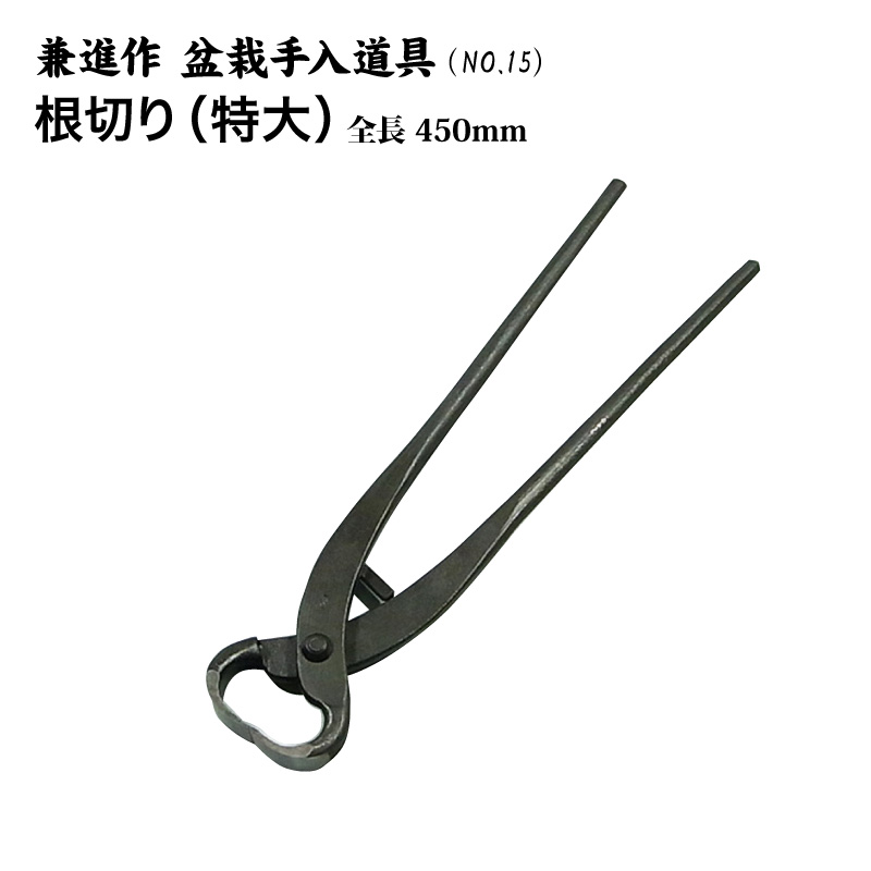 【送料無料】【兼進作】根切り鋏(特大) 全長450mm(NO.15)◆ 盆栽 はさみ 盆栽道具 お手入れ 大物盆栽 園芸 根切り 特大 人気 お勧め 刃物市場◆|刃物市場