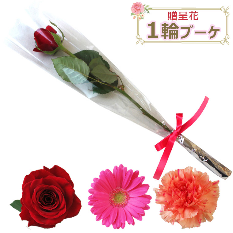 楽天市場】送料無料（一部地域を除く）【生花】バラの花束 Mサイズ L